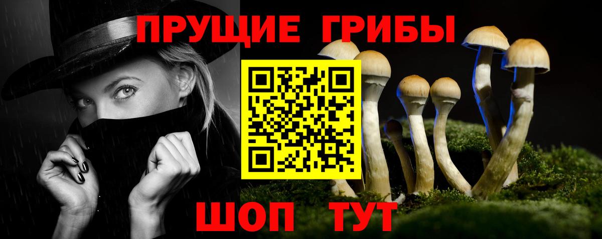 Псилоцибиновые грибы Psilocybe  Псилоцибиновые грибы мухоморы  Кимры  Вход с VPN 